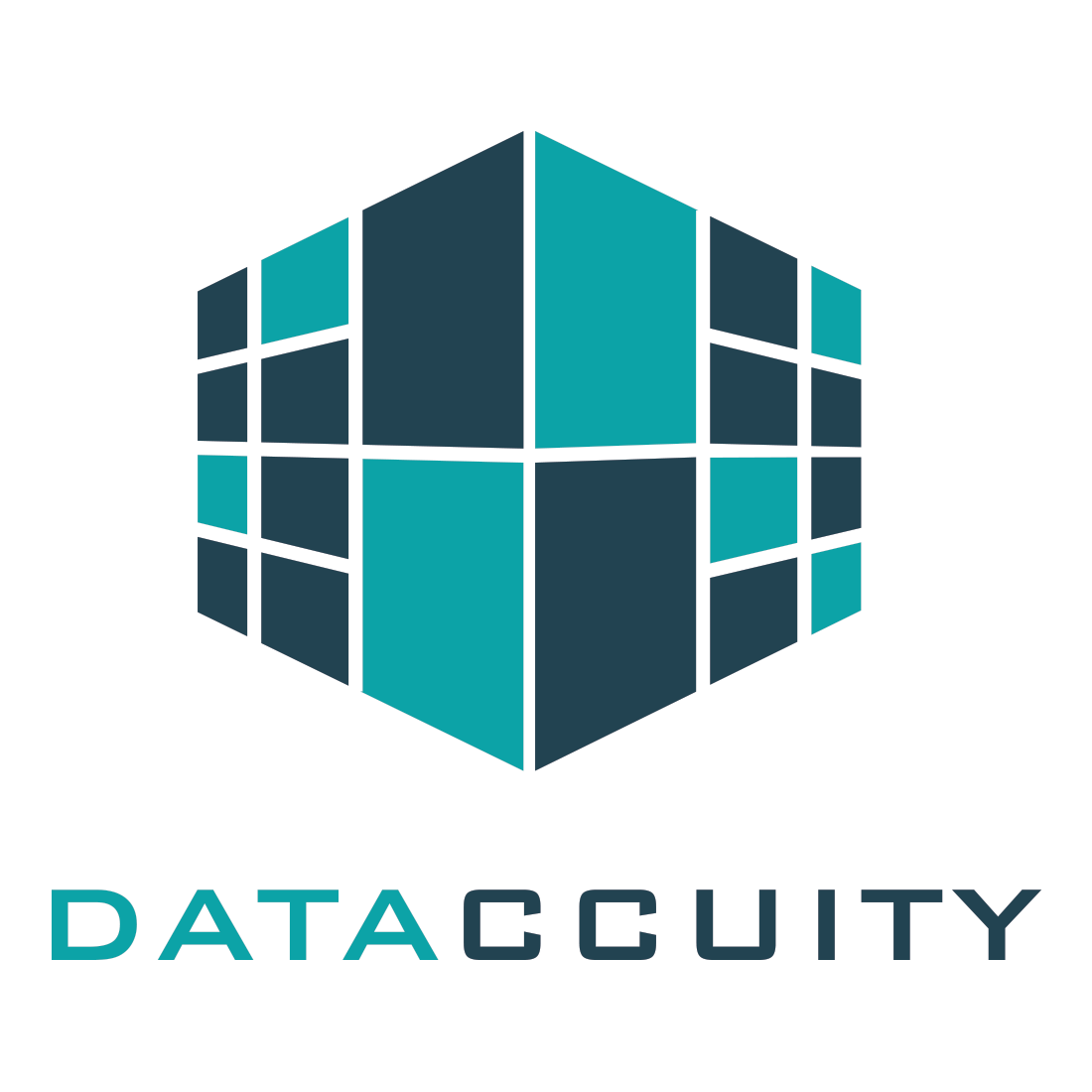 Dataccuity_Logo_Branding_Peterman_Design_Firm