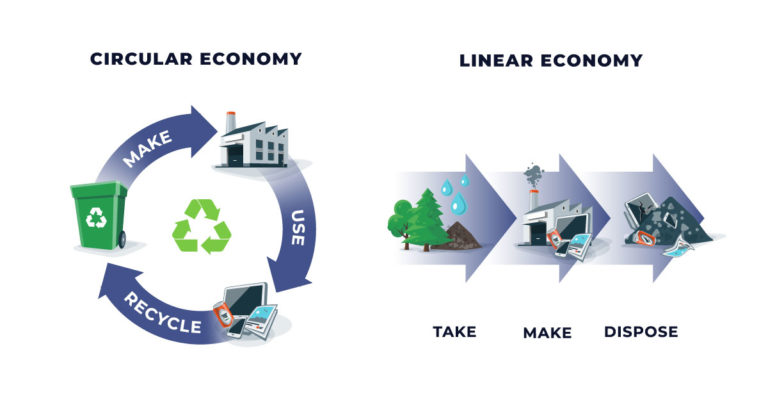 standard-vs-conscious-product-design-peterman-firm-blog-circular-economy-vs-linear-economy